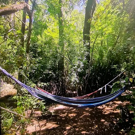 Cabana Bosque Recinto Exterior photo