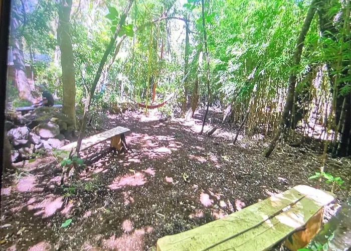 Cabana Bosque